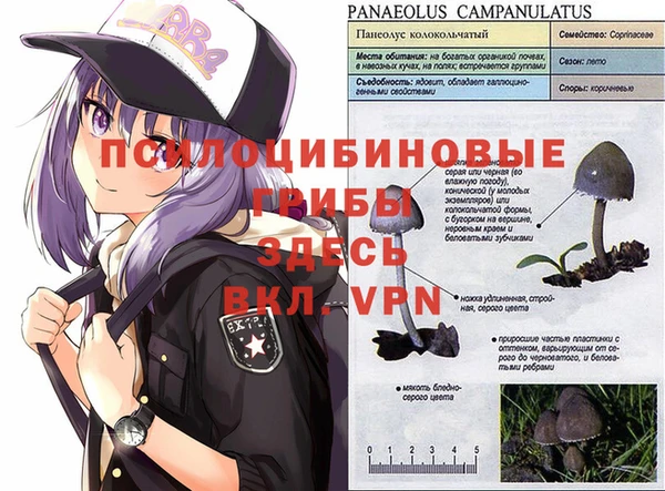 таблы Абинск