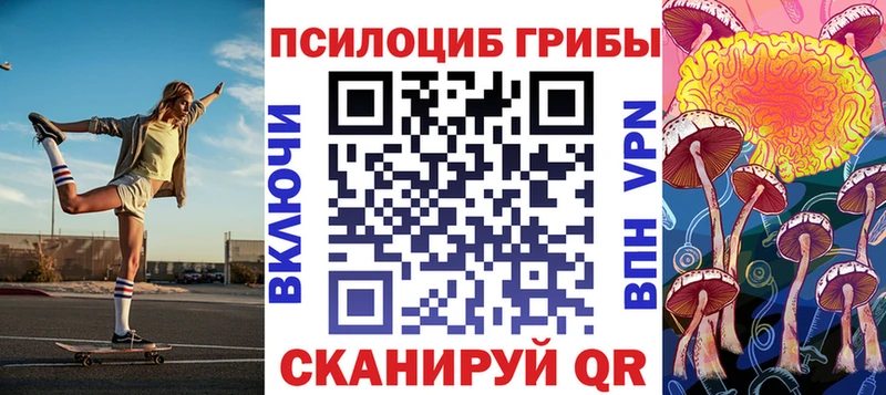 Галлюциногенные грибы Psilocybe  Алейск 